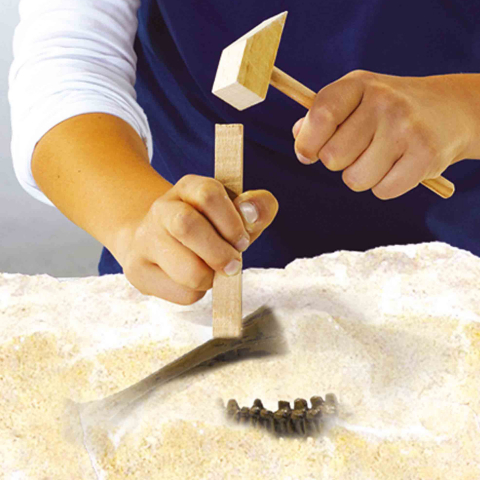 Set de joaca Dino si excavarea scheletului 2 in 1 - Stegozaur [2]