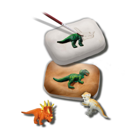 Set de joaca stiinta- Exploreaza fosile de Dinozaur [3]