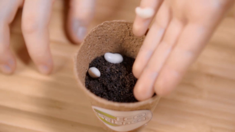 SET EXPERIMENTE ECOLOGICE [4]