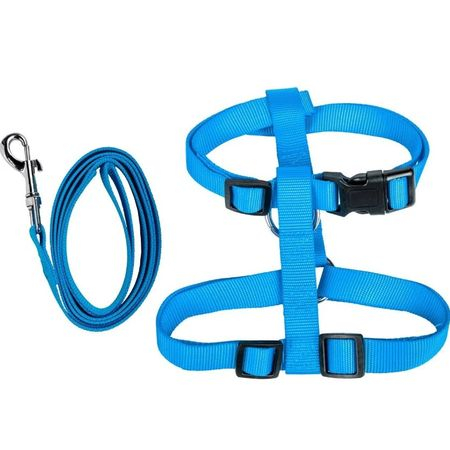 Set Ham + lesa 120 cm si jucarie minge cu sunet [2]