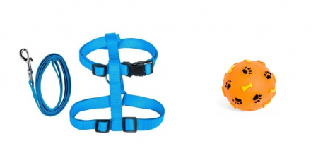 Articole animale de companie - Set Ham + lesa 120 cm si jucarie minge cu sunet