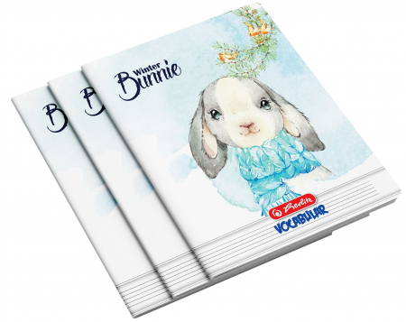 Caiete - Vocabular A6 Herlitz