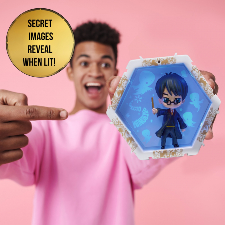 Wow! Pods - Wizarding World Harry  [2]