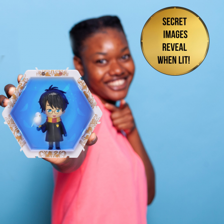 Wow! Pods - Wizarding World Harry și Hedwig  [2]