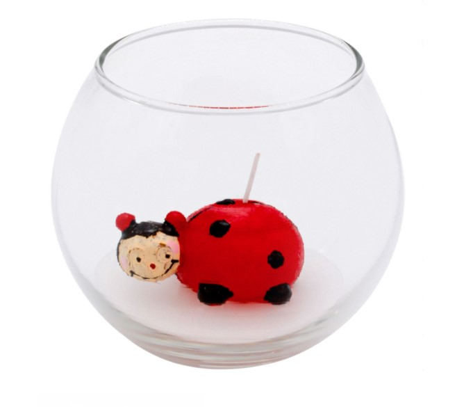 Lumanare decorativa Buburuza in candela de  sticla, 170g