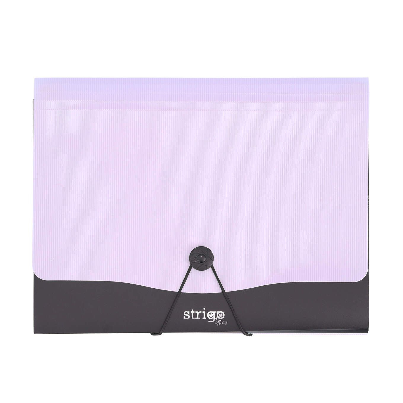 Mapa Strigo A4 cu 13 compartimente, elastic si clips
