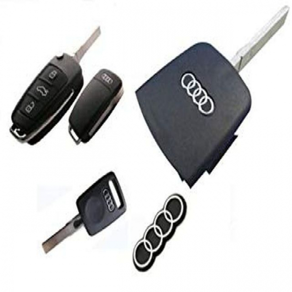 Logo Audi oval [3]