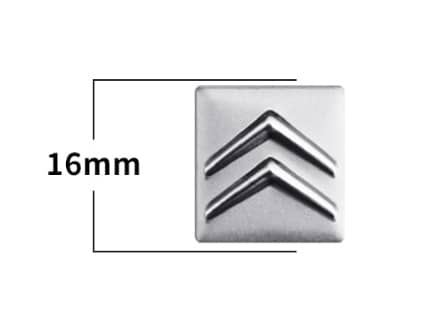Logo Citroen [1]