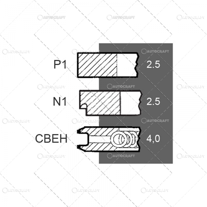 SEGMENTI MOTOR FIAT Ø 103 MM [2]