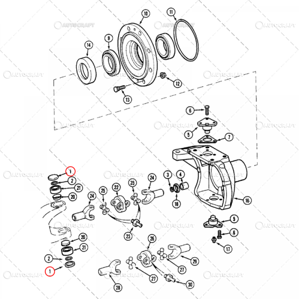 BUCSA PIVOT CASE IH APL330, APL1251 [2]