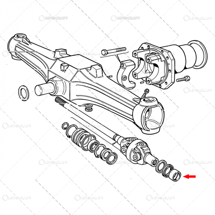 BUCSA PLANETARA FATA FIAT [2]