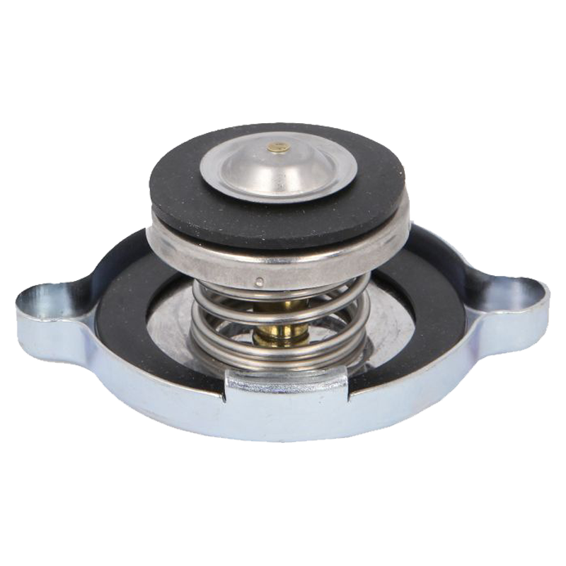 BUSON RADIATOR CASE-IH, FIAT, FORD, JOHN DEERE, NEW HOLLAND, STEYR [2]