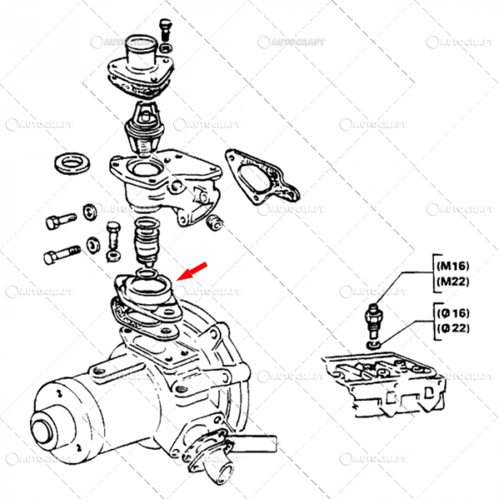 COT DE SUS LEGATURA POMA APA FIAT [2]