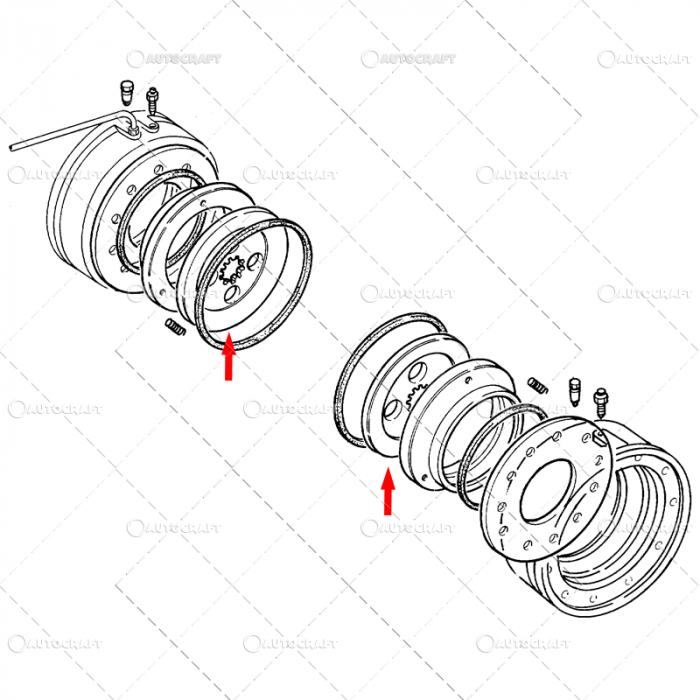 DISC FRANA IN BAIE DE ULEI FIAT [3]
