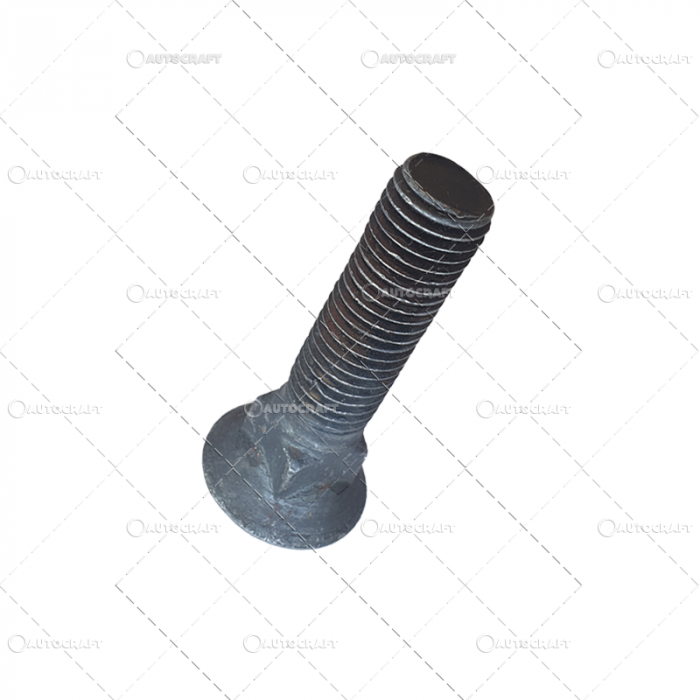 M20X80 SURUB BOLT PLAZ CAP NETED [2]