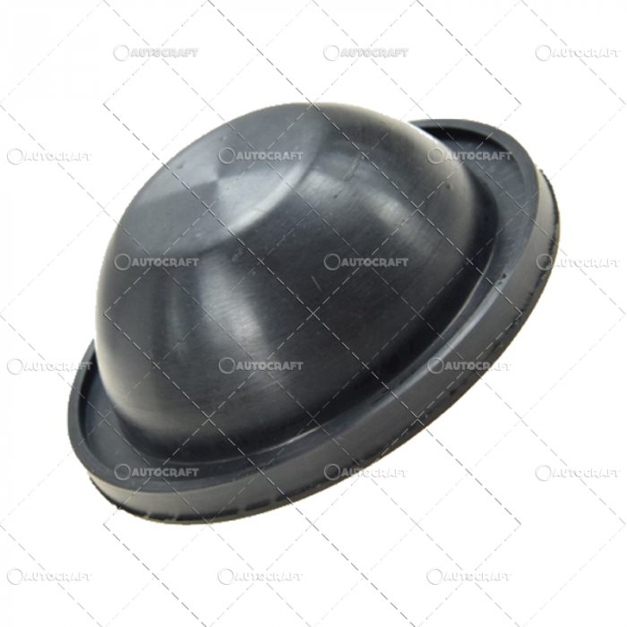 MEMBRANA PALARIE CAPAC POMPA ERBICIDAT BIARDZKI [3]