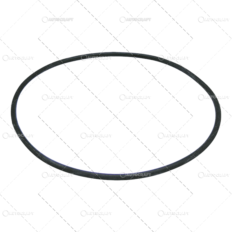 ORING PLANETARA FATA FIAT, FORD, NEW HOLLAND [1]