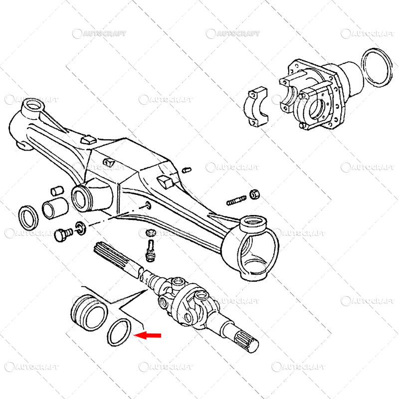 ORING PLANETARA FATA FIAT, FORD, NEW HOLLAND [2]