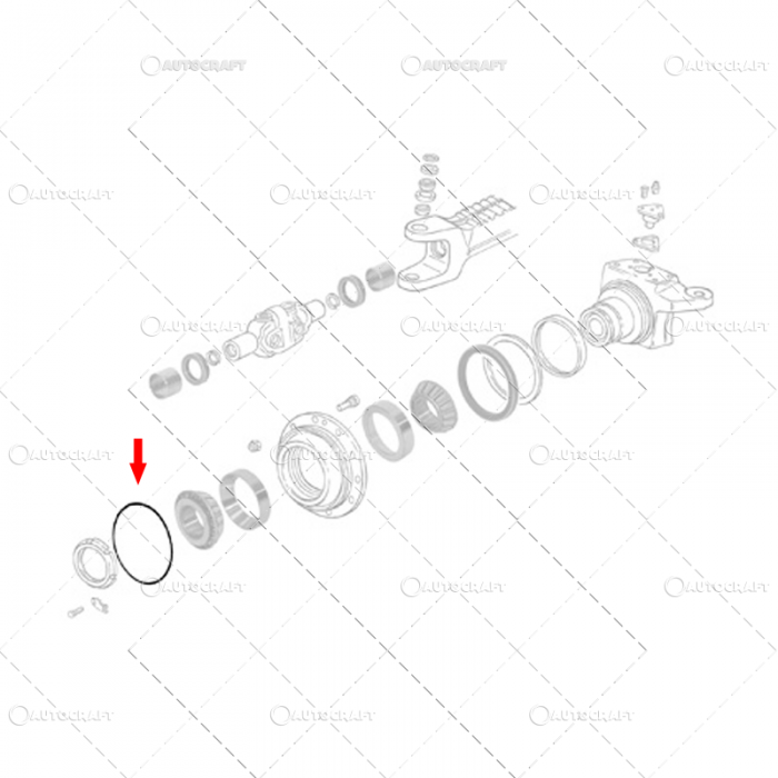 ORING ROATA FATA CASE IH [3]