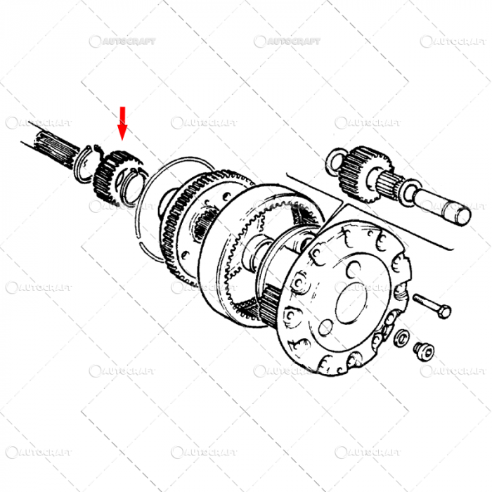 PINION PLANETAR FATA FIAT [2]