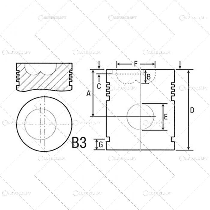 PISTON MOTOR CASE IH [2]