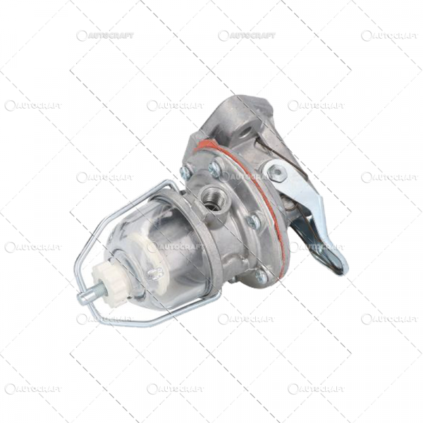 POMPA ALIMENTARE DAVID BROWN [2]