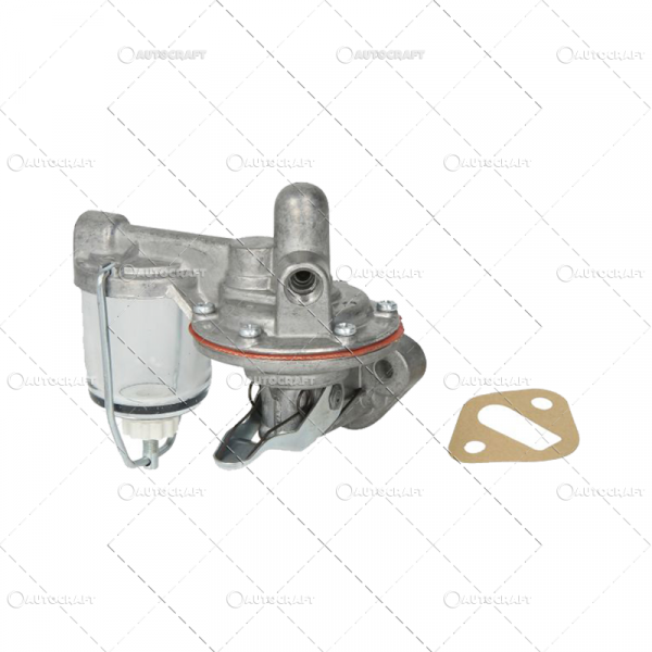 POMPA ALIMENTARE DAVID BROWN [2]