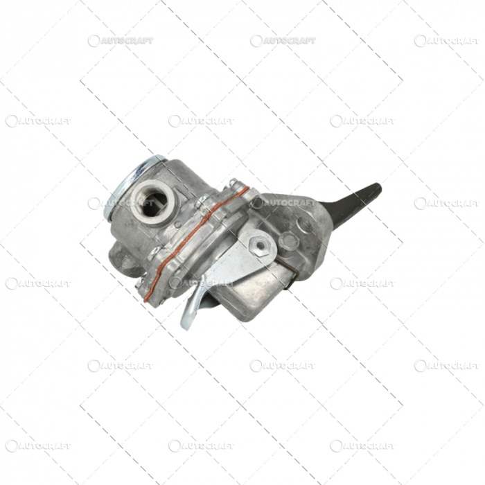 POMPA ALIMENTARE FENDT, MWM [2]