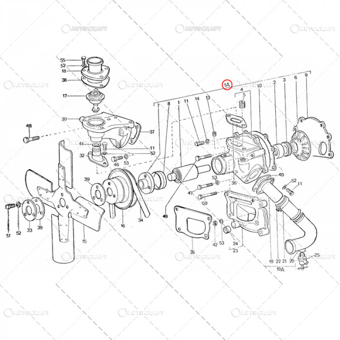 POMPA APA FIAT TRACTOR U445 115.11.010 [2]
