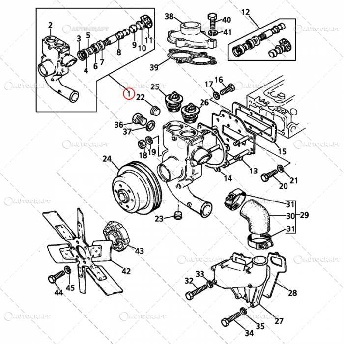 POMPA APA LANDINI, MASSEY FERGUSON [2]