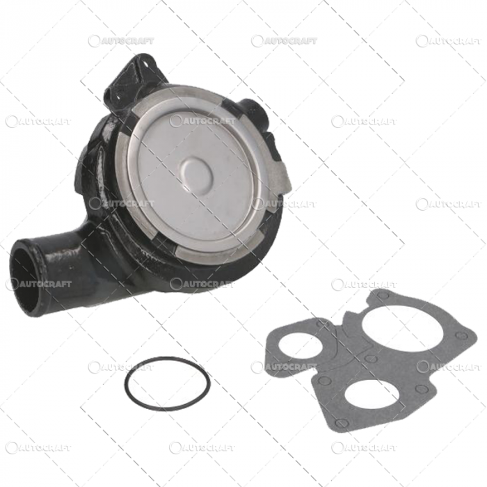 POMPA APA LANDINI, MASSEY FERGUSON [2]