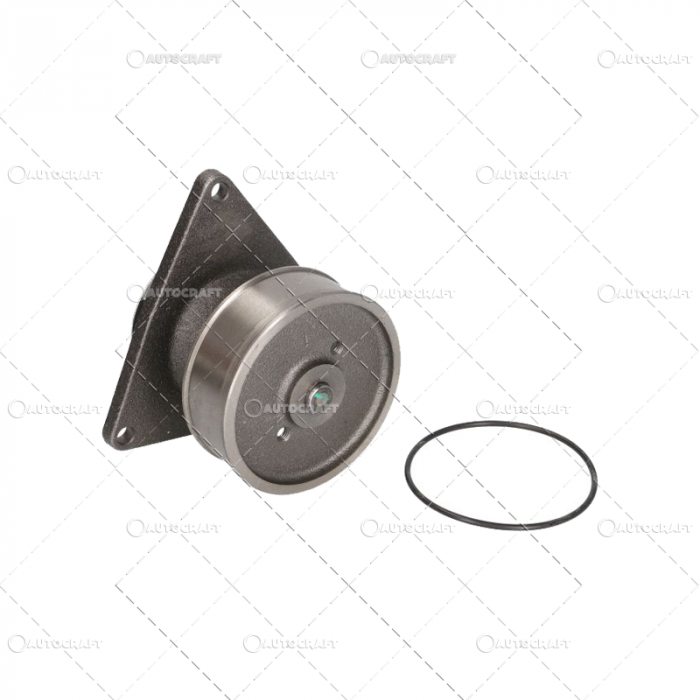 POMPA APA MASSEY FERGUSON [4]