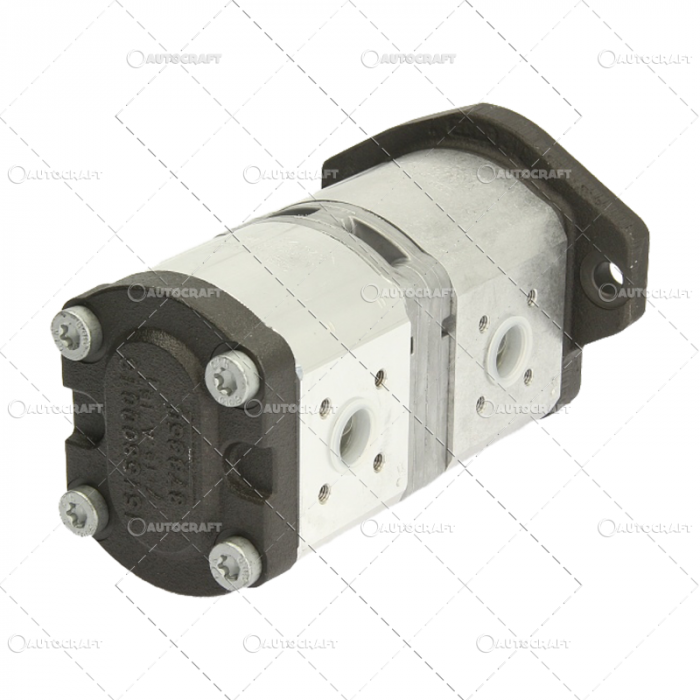 POMPA HIDRAULICA RENAULT [2]