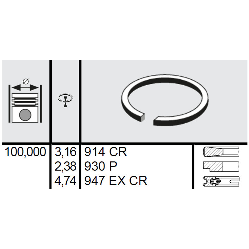 SEGMENTI MOTOR CASE IH Ø 100 MM [1]