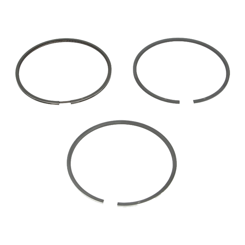 SEGMENTI MOTOR CASE-IH Ø 101.80 mm [1]