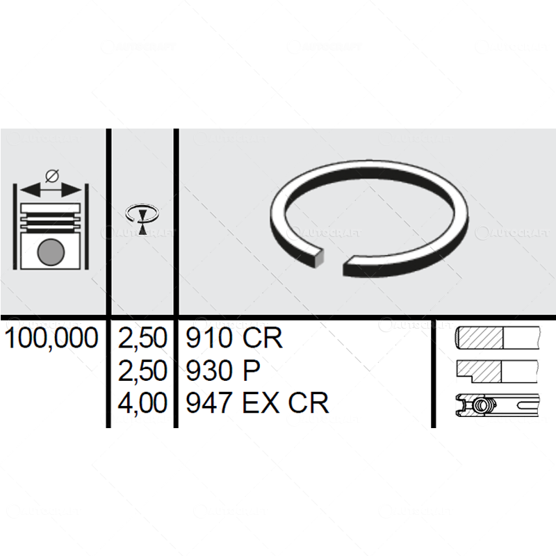 SEGMENTI MOTOR FIAT Ø 100 MM [2]