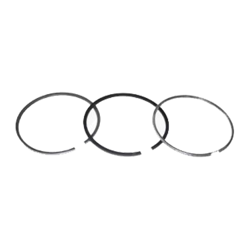 SEGMENTI MOTOR Ø 111.76 MM CASE IH, NEW HOLLAND MXM, TM [4]