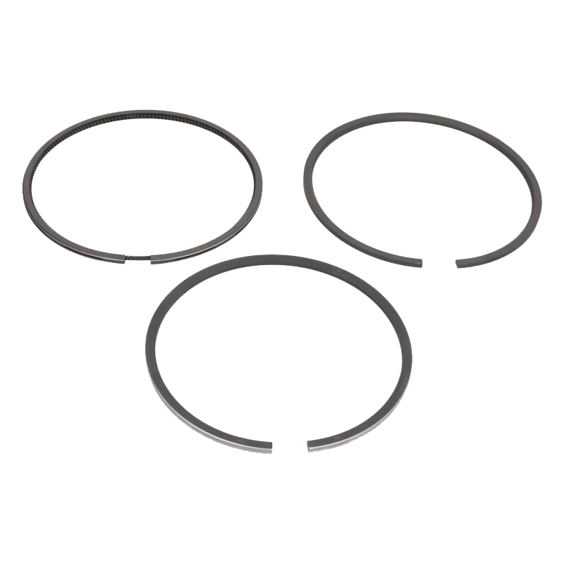 SEGMENTI MOTOR PERKINS, MC CORMICK, LANDINI, MASSEY FERGUSON, URSUS, ARMATRAC Ø 105.00 [1]