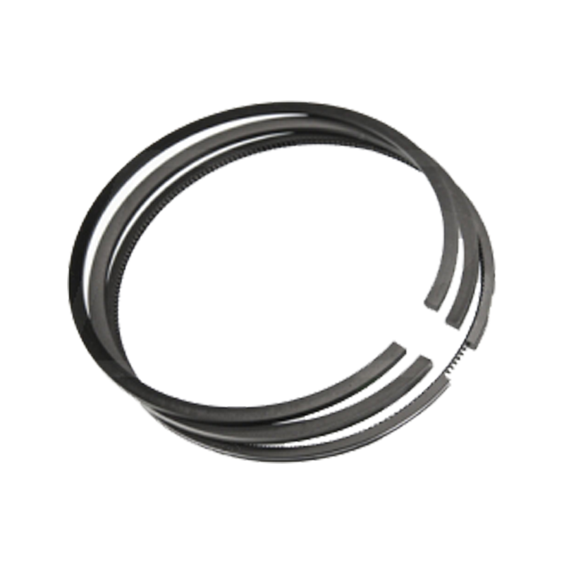 SEGMENTI MOTOR PERKINS, MC CORMICK, LANDINI, MASSEY FERGUSON, URSUS, ARMATRAC Ø 105.00 [1]