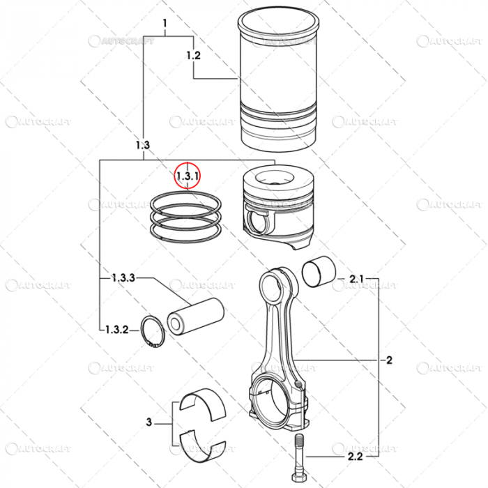 SEGMENTI MOTOR SAME, LAMBORGHINI, DEUTZ, HURLIMANN Ø 105 MM [3]