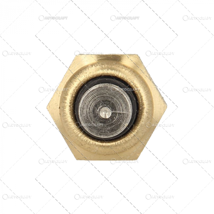 SENZOR TEMPERATURA DAVID BROWN [4]