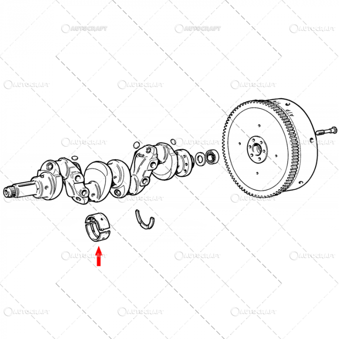 SET CUZINETI PALIER STD (X4) FIAT [2]