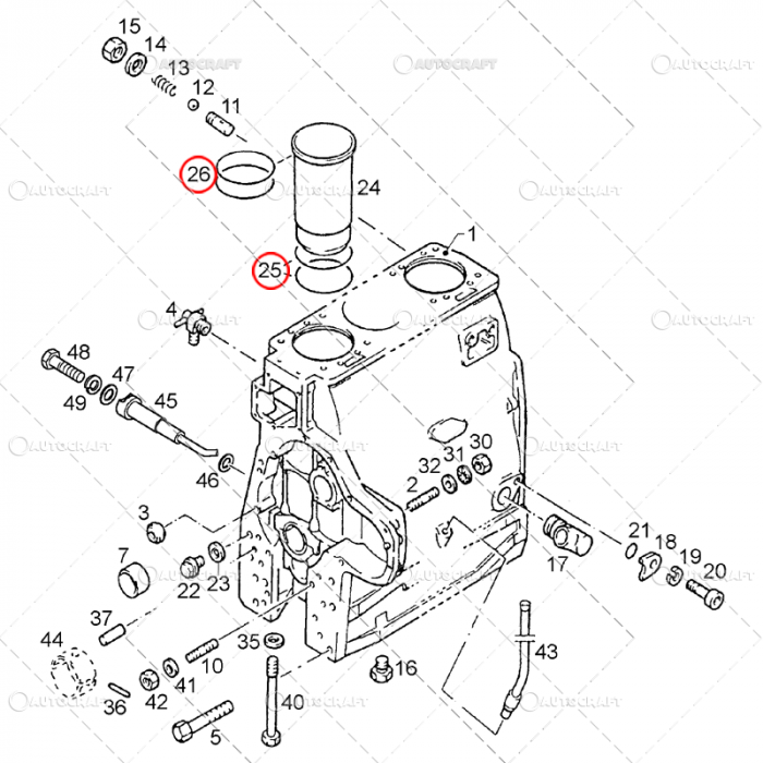 SET INELE CAMASA MOTOR MWM, FENDT, DEUTZ, CASE IH, RENAULT, STEYR [2]