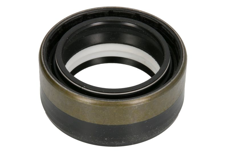 SIMERING PLANETARA FATA CASE IH, NEW HOLLAND 45X65X27 [2]