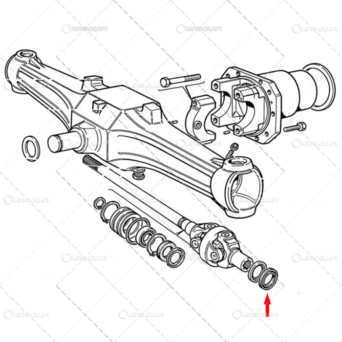 SIMERING PLANETARA FATA FIAT [3]