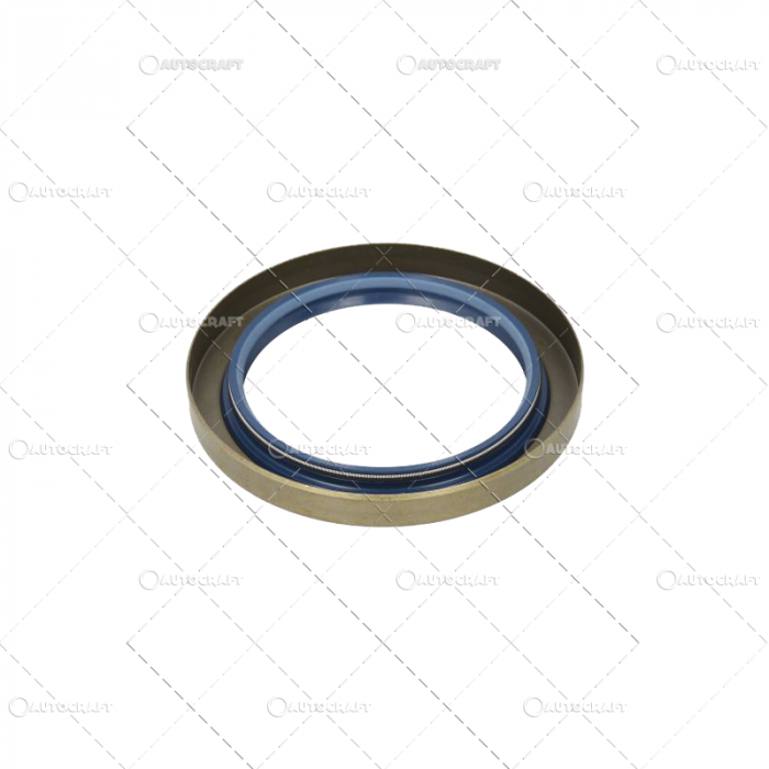 SIMERING ROATA SPATE FIAT [2]