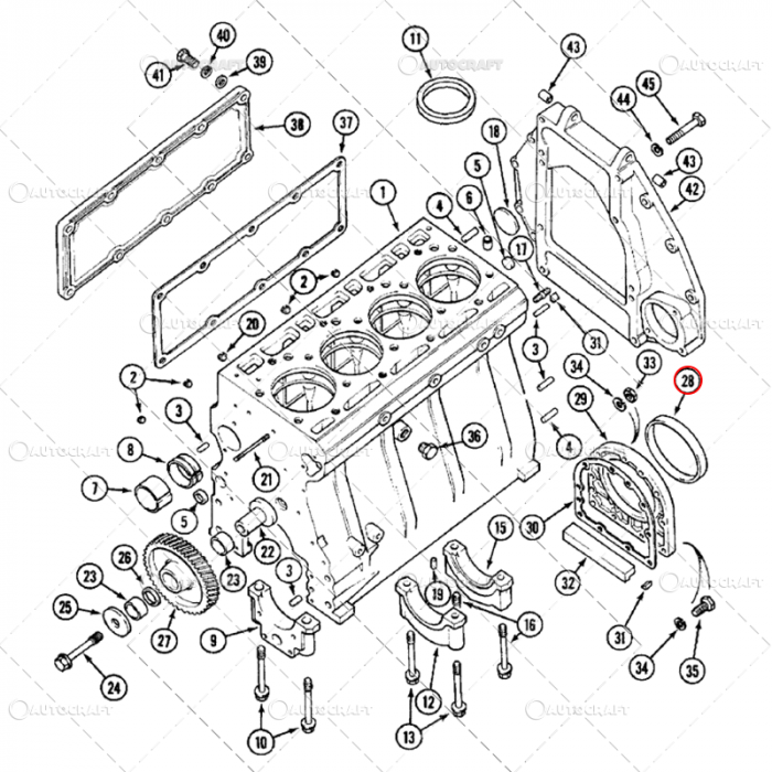 SIMERING SPATE ARBORE MOTOR CASE IH, SAME, FENDT, RENAULT [2]