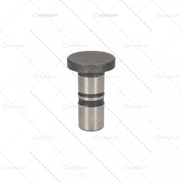 TACHET MOTOR FENDT Ø 17.5 X 31.05 X 48 MM [2]