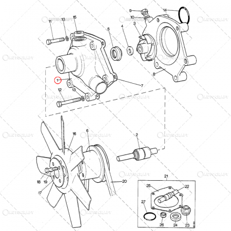 POMPA APA DAVID BROWN [3]