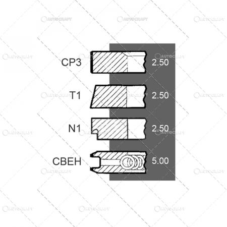 SEGMENTI MOTOR SAME [1]
